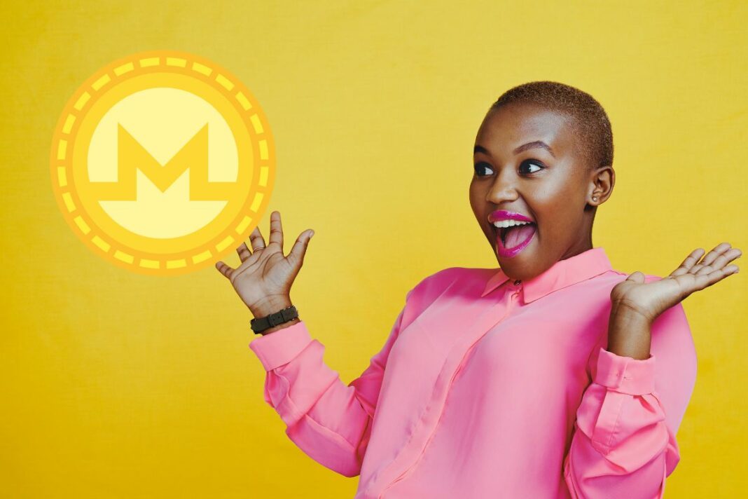 Monero (XMR) va-t-on vers la surprise - canva